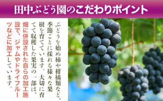 【定期便　毎月お届け3ヵ月】ほしぶどう 40g×5袋 国産 ドライフルーツ 無添加 複数品種 希少 レア 小分け 干し葡萄 干しぶどう 干しブドウ 無添加 保存食 備蓄食 常備食 食物繊維 鉄分 無添加 複数品種 希少 レア 小分け干し葡萄 ほしぶどう 無添加 防災食品 保存食 備蓄食 常備食 食物繊維 鉄分 ポリフェノール レーズン 製菓 製パン グラノーラ おやつ おつまみ 送料無料