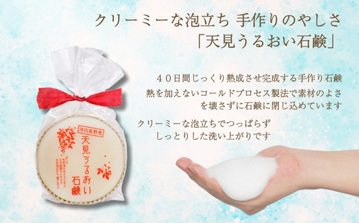 【定期便　毎月お届け３か月】天見うるおい石鹸 70g ｜ せっけん 洗顔 ソープ 固形 石けん ビワの葉 はちみつ 米ぬかエキス 泡立ち クリーミー 保湿 しっとり 手作り 個包装 ギフト