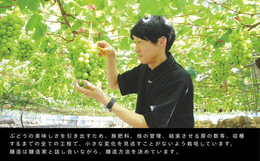 紅しずくワイン 720ml 中村オリジナルぶどう園のオリジナル品種使用 国産 白ワイン 辛口 お酒 酒 父の日 プレゼント ギフト 贈り物 お中元  お歳暮 夏ギフト お土産 手土産