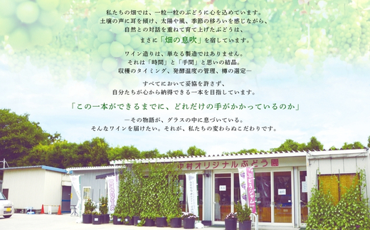 紅しずくワイン 720ml 中村オリジナルぶどう園のオリジナル品種使用 国産 白ワイン 辛口 お酒 酒 父の日 プレゼント ギフト 贈り物 お中元  お歳暮 夏ギフト お土産 手土産