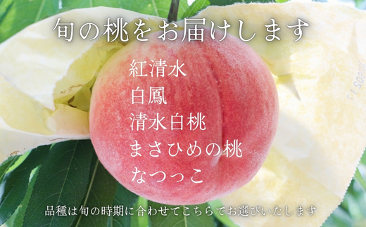 ＜2026年7月中旬頃から順次発送＞小山田の桃（9～12個）モモ 桃 もも ※発送前の注意事項を十分ご確認ください※｜こだわりの逸品 地域特産品 ギフト 自分用 人気 おすすめ