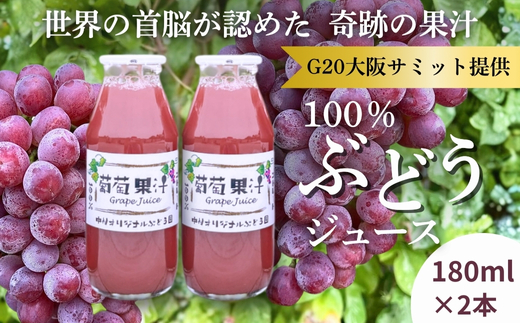 ぶどうジュース２本とぶどうジャムおまかせ４種詰合せ l ぶどう100％スペシャルジャム 砂糖不使用  原材料はぶどうのみ 中村オリジナルぶどう園 国産ぶどう100％使用 高級手づくりジャム 無添加 無着色 果実そのまま  G20大阪サミット提供