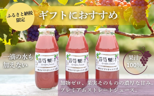 ã¶ã©ããžã¥ãŒã¹3æ¬ãšã¶ã©ããžã£ã ããŸãã2皮詰åã l ã¶ã©ã100ïŒ
ã¹ãã·ã£ã«ãžã£ã ç ç³äžäœ¿çš åææã¯ã¶ã©ãã®ã¿ äžæãªãªãžãã«ã¶ã©ãå åœç£ã¶ã©ã100ïŒ
äœ¿çš é«çŽæã¥ãããžã£ã ç¡æ·»å ç¡çè² æå®ãã®ãŸãŸ G20倧éªãµãããæäŸ