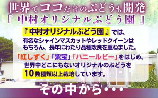 ã2026幎7æäžæ¬ïœé 次çºéãã¶ã©ãè©°ãåãã çŽ1.7kgããã©ãŠãšã¢3æ¿ïŒããã«ãããªããªãªãžãã«åçš®ããŸãã2çš®ãåžå°åçš® é£ã¹æ¯ã¹ ãã«ãŒã æç© ãã ãã® è¡è äžæãªãªãžãã«ã¶ã©ãå ãã©ãŠãšã¢ ã¶ã©ã ãã㊠ããããã å€§éª æ²³å
é·é çã