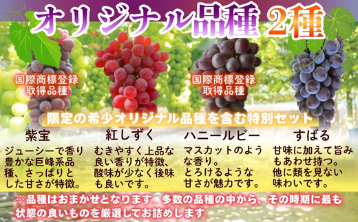 ã2026幎7æäžæ¬ïœé 次çºéãã¶ã©ãè©°ãåãã çŽ1.7kgããã©ãŠãšã¢3æ¿ïŒããã«ãããªããªãªãžãã«åçš®ããŸãã2çš®ãåžå°åçš® é£ã¹æ¯ã¹ ãã«ãŒã æç© ãã ãã® è¡è äžæãªãªãžãã«ã¶ã©ãå ãã©ãŠãšã¢ ã¶ã©ã ãã㊠ããããã å€§éª æ²³å
é·é çã