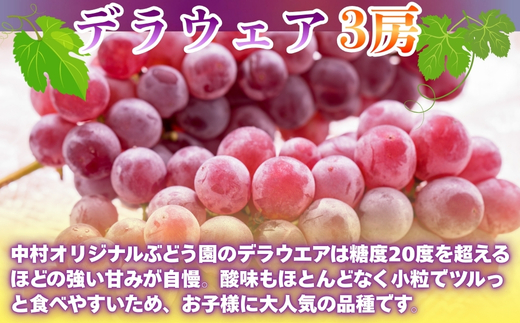 ã2026幎7æäžæ¬ïœé 次çºéãã¶ã©ãè©°ãåãã çŽ1.7kgããã©ãŠãšã¢3æ¿ïŒããã«ãããªããªãªãžãã«åçš®ããŸãã2çš®ãåžå°åçš® é£ã¹æ¯ã¹ ãã«ãŒã æç© ãã ãã® è¡è äžæãªãªãžãã«ã¶ã©ãå ãã©ãŠãšã¢ ã¶ã©ã ãã㊠ããããã å€§éª æ²³å
é·é çã