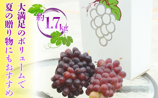 ã2026幎7æäžæ¬ïœé 次çºéãã¶ã©ãè©°ãåãã çŽ1.7kgããã©ãŠãšã¢3æ¿ïŒããã«ãããªããªãªãžãã«åçš®ããŸãã2çš®ãåžå°åçš® é£ã¹æ¯ã¹ ãã«ãŒã æç© ãã ãã® è¡è äžæãªãªãžãã«ã¶ã©ãå ãã©ãŠãšã¢ ã¶ã©ã ãã㊠ããããã å€§éª æ²³å
é·é çã