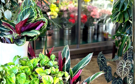 F1季節のおまかせフラワーアレンジメント