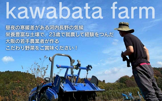 【令和8年度産玉ねぎ先行予約】玉ねぎ 10kg×1箱 ※6月より発送予定 ｜ 混サイズ 玉ねぎ たまねぎ タマネギ 玉葱 カレー シチュー 肉じゃが スープ サラダ 人気 大阪 河内長野 kawabata farm 料理 送料無料 先行予約 国産 エコ農産物 甘い玉ねぎ 野菜 食育 安心 安全