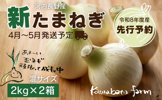 【令和8年度産新玉ねぎ先行予約】新玉ねぎ 2kg×2箱  ※4-5月発送予定 ｜ 混サイズ 玉ねぎ 新玉ねぎ たまねぎ タマネギ 玉葱 カレー シチュー 肉じゃが スープ サラダ 人気 大阪 河内長野 kawabata farm 料理 送料無料 先行予約 国産 エコ農産物 甘い玉ねぎ 野菜 食育 安心 安全