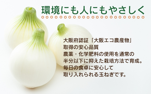 【令和8年度産新玉ねぎ先行予約】新玉ねぎ 10kg×1箱  ※4-5月発送予定 ｜ 混サイズ 玉ねぎ 新玉ねぎ たまねぎ タマネギ 玉葱 カレー シチュー 肉じゃが スープ サラダ 人気 大阪 河内長野 kawabata farm 料理 送料無料 先行予約 国産 エコ農産物 甘い玉ねぎ 野菜 食育 安心 安全