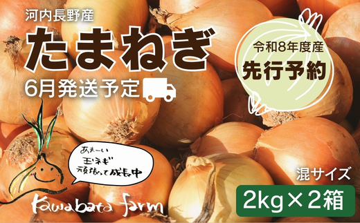 【令和8年度産玉ねぎ先行予約】玉ねぎ 2kg×2箱 ※6月より発送予定 ｜ 混サイズ 玉ねぎ たまねぎ タマネギ 玉葱 カレー シチュー 肉じゃが スープ サラダ 人気 大阪 河内長野 kawabata farm 料理 送料無料 先行予約 国産 エコ農産物 甘い玉ねぎ 野菜 食育 安心 安全