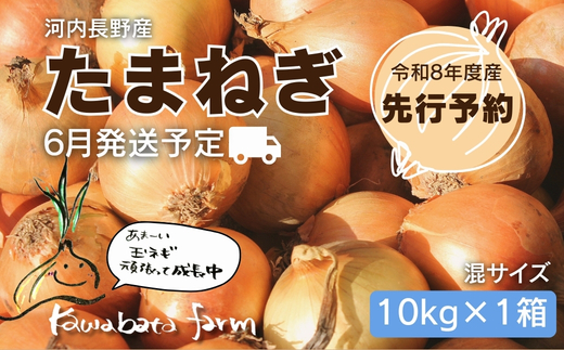 【令和8年度産玉ねぎ先行予約】玉ねぎ 10kg×1箱 ※6月より発送予定 ｜ 混サイズ 玉ねぎ たまねぎ タマネギ 玉葱 カレー シチュー 肉じゃが スープ サラダ 人気 大阪 河内長野 kawabata farm 料理 送料無料 先行予約 国産 エコ農産物 甘い玉ねぎ 野菜 食育 安心 安全