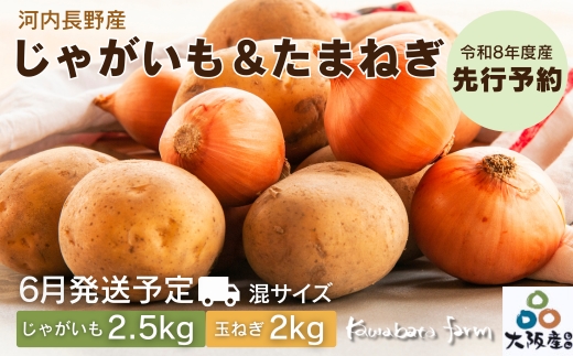 【令和8年度産先行予約】じゃがいも 2.5kgと玉ねぎ2kg ※6月より発送予定 混サイズ ニシユタカ ジャガイモ ポテト 馬鈴薯 たまねぎ タマネギ 玉葱 カレー シチュー 肉じゃが スープ サラダ ポタージュ 人気 大阪 河内長野 kawabata farm 料理 送料無料 先行予約 国産 エコ農産物 野菜 食育 安心 安全