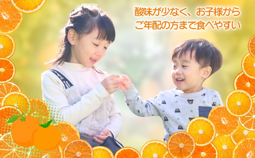 先行予約 2026年11月下旬より発送 【 農林水産大臣賞受賞 】 甘さが違う極上みかん 5kg 高糖度 甘い みかん 柑橘 フルーツ 家庭用 贈答用対応 ギフト 大阪府 河内長野市 角農園