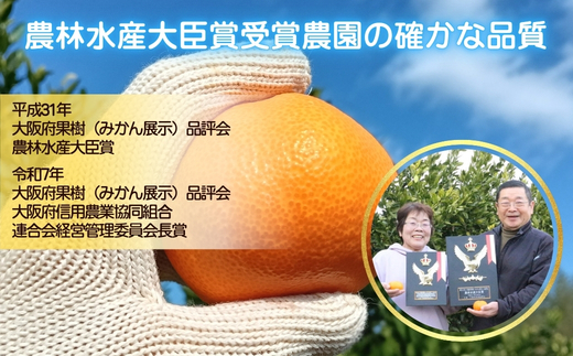 先行予約 2026年11月下旬より発送 【 訳あり 】 甘さが違う極上みかん 5kg 高糖度 甘い みかん 柑橘 フルーツ 家庭用 贈答用対応 ギフト 大阪府 河内長野市 角農園