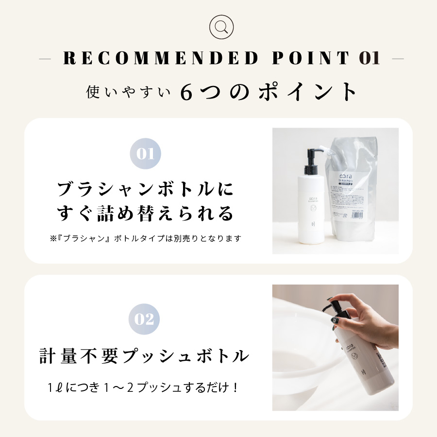【定期便　毎月お届け6か月】ブラシャン 詰め替え用 500ml 下着を長持ちさせる洗剤 衣類用洗剤 手洗い 洗剤 | ブラジャー 下着 おしゃれ着洗剤 洗濯洗剤 洗濯用洗剤 液体洗剤 ランジェリー用洗剤 下着用洗剤 ブラ 下着用 洗濯 衣類洗剤 つけ置き ショーツ おしゃれ着用洗剤
