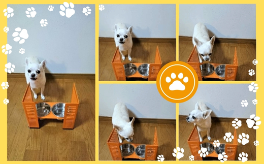 ペット食器台　Ｌ（大）フードボール　シルバー　3皿　犬　猫　ペット用品　4色展開　