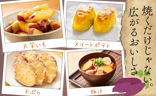 【2026年11月発送分先行予約！】紅はるか さつまいも 5kg ｜ 熟成 数量限定 甘い 焼き芋 バター焼き サラダ 天ぷら スイーツ スイートポテト 大阪 河内長野 中村オリジナルぶどう園 訳あり 料理 国産 野菜 食育