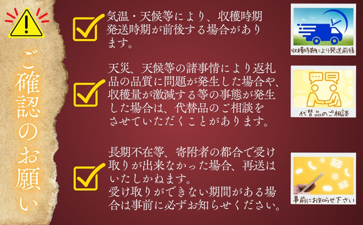 【2026年11月発送分先行予約！】紅はるか さつまいも 5kg ｜ 熟成 数量限定 甘い 焼き芋 バター焼き サラダ 天ぷら スイーツ スイートポテト 大阪 河内長野 中村オリジナルぶどう園 訳あり 料理 国産 野菜 食育