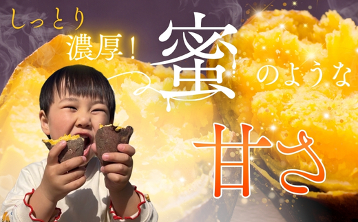 【2026年11月発送分先行予約！】紅はるか さつまいも 5kg ｜ 熟成 数量限定 甘い 焼き芋 バター焼き サラダ 天ぷら スイーツ スイートポテト 大阪 河内長野 中村オリジナルぶどう園 訳あり 料理 国産 野菜 食育