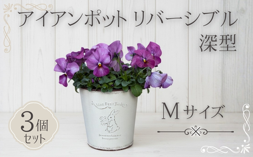 アイアンポット リバーシブル M 深型 3個セット ｜ 植木鉢 おしゃれ 鉢カバー 止水栓付 フラワーベース 花瓶 花器 アイアン ポット 園芸 寄せ植え ガーデニング アンティーク風 インテリア クラフトワン