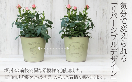 アイアンポット リバーシブル L 深型 3個セット ｜ 植木鉢 おしゃれ 鉢カバー 止水栓付 寄せ植え フラワーベース 花瓶 大きめ アイアン ポット 園芸 ガーデニング アンティーク風 インテリア クラフトワン