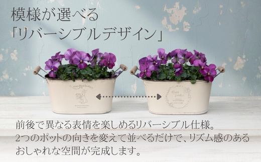 アイアンポット リバーシブル オーバル M L 2個セット ｜ 楕円形 植木鉢 おしゃれ 鉢カバー 止水栓付 寄せ植え フラワーベース 花瓶 プランター アイアン ポット 園芸 ガーデニング アンティーク風 インテリア クラフトワン