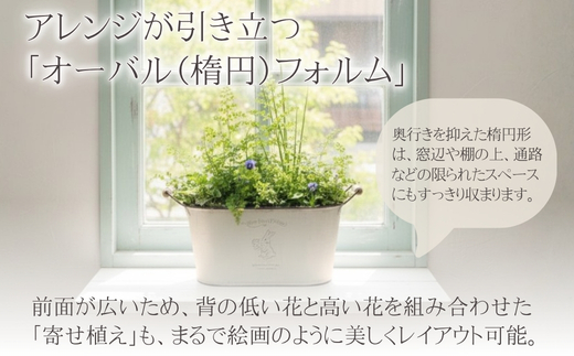 アイアンポット リバーシブル オーバル M L 2個セット ｜ 楕円形 植木鉢 おしゃれ 鉢カバー 止水栓付 寄せ植え フラワーベース 花瓶 プランター アイアン ポット 園芸 ガーデニング アンティーク風 インテリア クラフトワン