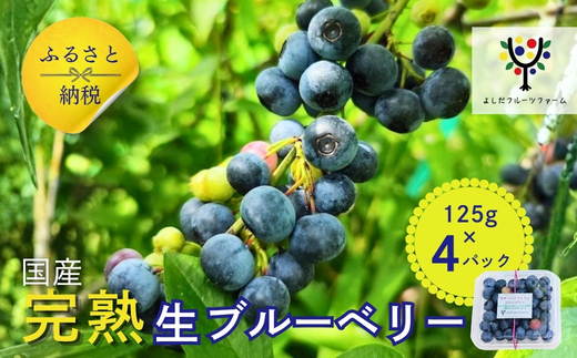 【2026年6月中旬～順次発送】国産 生ブルーベリー 500g (125g×4パック)品種おまかせ ブルーベリー ぶるーべりー フルーツ 果物 くだもの 産地直送 期間限定 数量限定 大阪 河内長野 よしだフルーツファーム
