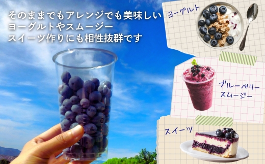 åœç£ çãã«ãŒããªãŒ 500g (125gÃ4ããã¯) åçš®ããŸãã â»çºéææã«ã泚æãã ãã ïœ ãã«ãŒããªãŒ ã¶ããŒã¹ã㌠ãã«ãŒã æç© ãã ãã® ç£å°çŽé æééå® æ°ééå® å€§éª æ²³å
é·é ããã ãã«ãŒããã¡ãŒã