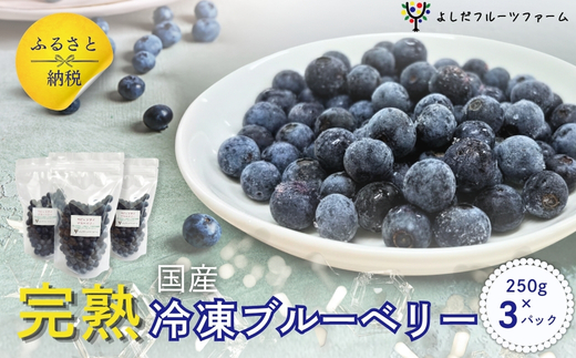 【2026年8月中旬～順次発送】国産 冷凍ブルーベリー 750g (250g×3パック) ラビットアイ ブルーベリー ぶるーべりー フルーツ 果物 くだもの 産地直送 期間限定 数量限定 大阪 河内長野 よしだフルーツファーム