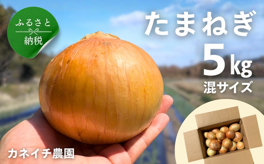 çãã 5kg æ··ãµã€ãº ã«ãã€ã蟲åïœçãã ããŸãã ã¿ããã® çè± ã«ã¬ãŒ ã·ãã¥ãŒ èããã ã¹ãŒã ãµã©ã å€§éª æ²³å
é·é æç å
è¡äºçŽ åœç£ 倧éªãšã³èŸ²ç£ç© çãçãã éè é£è²