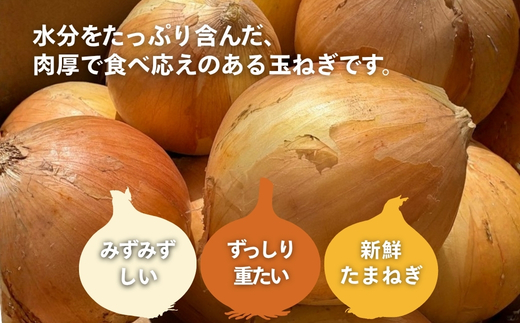 çãã 5kg æ··ãµã€ãº ã«ãã€ã蟲åïœçãã ããŸãã ã¿ããã® çè± ã«ã¬ãŒ ã·ãã¥ãŒ èããã ã¹ãŒã ãµã©ã å€§éª æ²³å
é·é æç å
è¡äºçŽ åœç£ 倧éªãšã³èŸ²ç£ç© çãçãã éè é£è²