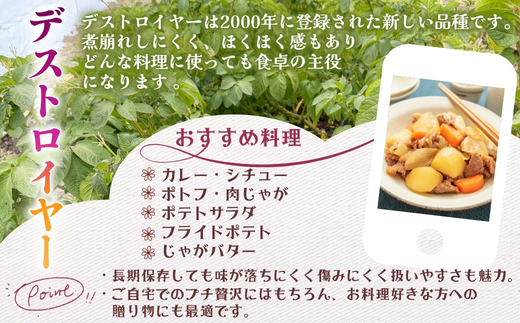 じゃがいも デストロイヤー 2kg |グランペチカ グラウンドペチカ 希少品種 数量限定 こっしーファーム いも 芋 イモ 野菜 生鮮食品 カレー シチュー ポテトサラダ フライドポテト 高級 甘い ホクホク