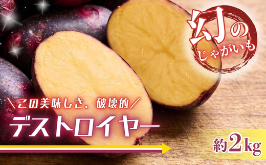 じゃがいも デストロイヤー 2kg |グランペチカ グラウンドペチカ 希少品種 数量限定 こっしーファーム いも 芋 イモ 野菜 生鮮食品 カレー シチュー ポテトサラダ フライドポテト 高級 甘い ホクホク