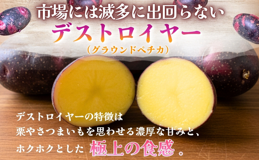 じゃがいも デストロイヤー 2kg |グランペチカ グラウンドペチカ 希少品種 数量限定 こっしーファーム いも 芋 イモ 野菜 生鮮食品 カレー シチュー ポテトサラダ フライドポテト 高級 甘い ホクホク