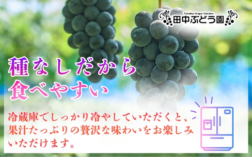 【2026年8月中旬頃先行予約】ぶどう 巨峰 ぶどう詰め合わせ 田中ぶどう園 厳選 巨峰 約2.0kg（4～5房） 詰め合わせ 大粒 種なし ぶどう ブドウ きょほう フルーツ 果物 農園直送 贈答 ギフト プレゼント 大阪府 河内長野市