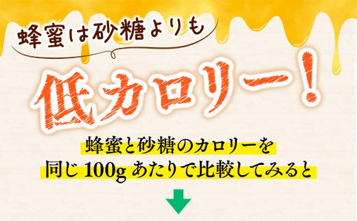 岩湧ハニー(百花、純粋はちみつ)　500ｇ【2024年6月中旬以降順次発送です】