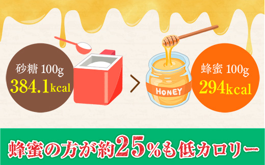 岩湧ハニー(百花、純粋はちみつ)　500ｇ【2024年6月中旬以降順次発送です】