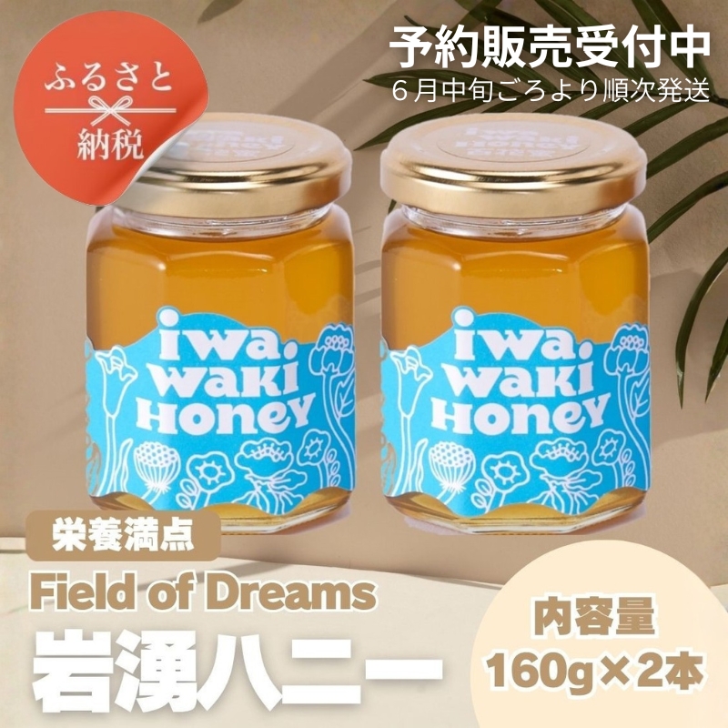 ＜2026年6月中旬以降発送　先行予約受付中！＞ 岩湧ハニー 純粋百花はちみつ 160g×2本セット 国産天然はちみつ 大阪府 河内長野市 ギフト 百花蜜 ビタミン ミネラル 酵素 パンケーキ ヨーグルト アサイー 朝食 おやつ 手土産 コーヒー 紅茶 ドリンク 珈琲 プレゼント 岩湧山 トースト はちみつ 蜂蜜 ハチミツ
