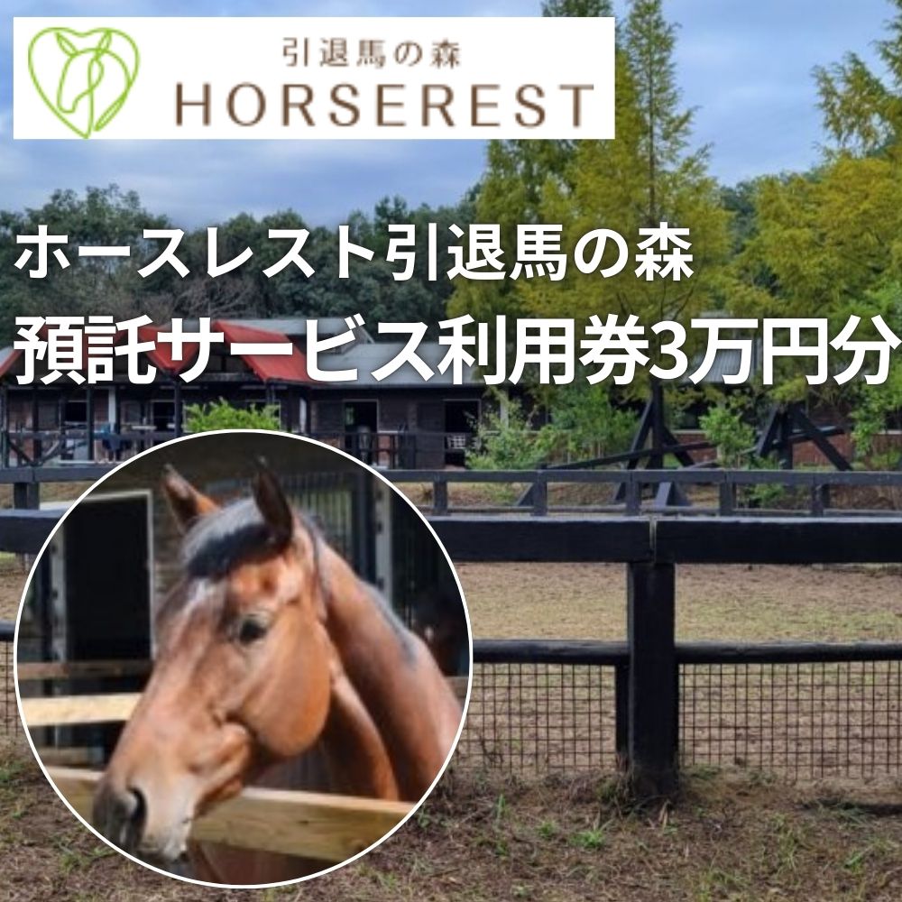 馬の養老牧場　預託利用券3万円分～ホースレスト引退馬の森～