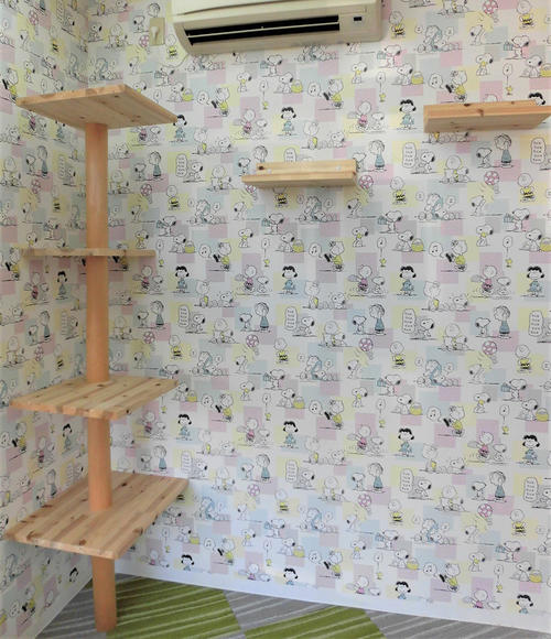 オリジナル　キャットウォーク