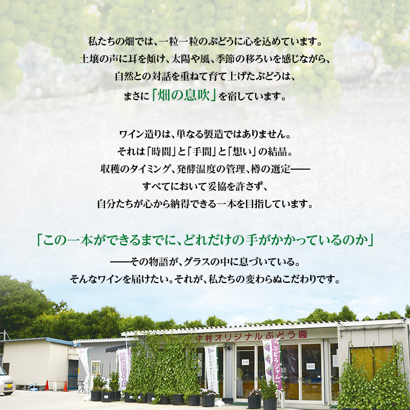 ハニールビーワイン 720ml 中村オリジナルぶどう園のオリジナル品種使用 中間くらいの辛さ 国産 ロゼワイン　お酒 酒 父の日 プレゼント ギフト 贈り物 お中元 お歳暮 夏ギフト お土産 手土産