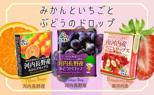 グミとドロップの詰め合わせセット（5種類）各1個 | みかん いちご ぶどう お菓子 ドロップ グミ キャンディー ぐみ 子ども おやつ ギフト スイーツ 大阪 河内長野