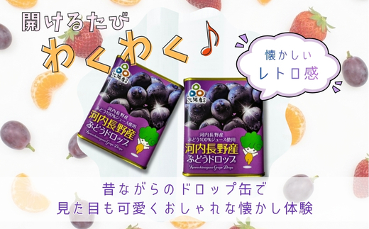 グミとドロップの詰め合わせセット（5種類）各1個 | みかん いちご ぶどう お菓子 ドロップ グミ キャンディー ぐみ 子ども おやつ ギフト スイーツ 大阪 河内長野