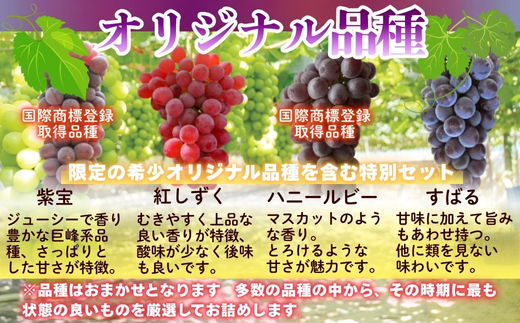 【2026年先行予約】ぶどう詰め合わせ ここにしかないオリジナル品種 おまかせ詰め合わせ 皮ごと食べられるぶどう1種＋オリジナル2種合計約1.8㎏ 中村オリジナルぶどう園 ※発送前のご連絡についてご注意ください 希少 オリジナル品種 おまかせ ぶどう 葡萄 ブドウ グレープ フルーツ 果物 くだもの 果汁 こだわり 大阪 河内長野 長野 厳選