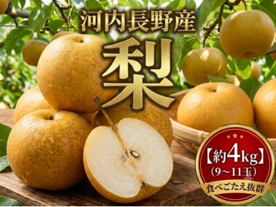 ＜2026年8月下旬頃～発送＞【河内長野産】梨　9~11玉 約4kg 期間限定 フルーツ 果物 なし ナシ 梨 旬 河内長野 送料無料 ※発送前の注意事項を十分ご確認ください※
