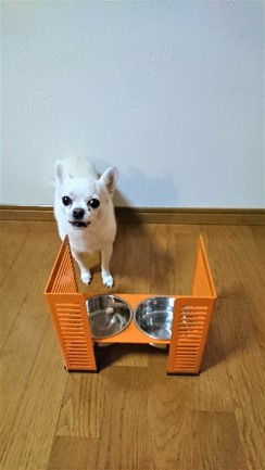 ペット食器台　M（中）ブラック　フードボール　2皿　犬　猫　ペット用品　4色展開