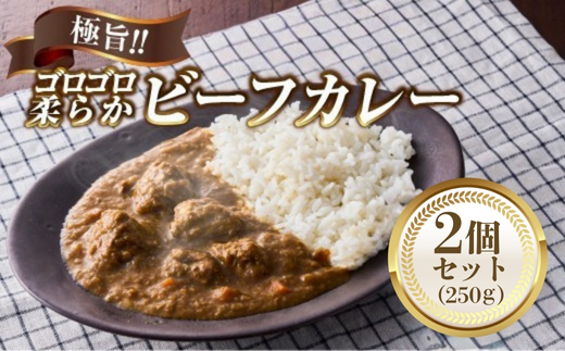 極旨！柔らか牛ヒレ肉ゴロゴロ贅沢ビーフカレー2食セット　ごろっと食感 本格カレー 牛肉 ヒレ肉 牛ヒレ肉 国産牛 ビーフカレー ごろごろ 柔らか 濃厚 旨みたっぷり カレー 牛ヒレカレー ヒレ肉カレー 国産牛カレー 贅沢 個包装 冷凍 温めるだけ 湯せん お中元 お歳暮 クリスマス 正月 おせち ギフト 家族用 非常食 保存食 大阪府 河内長野市 老舗フレンチ 国産素材